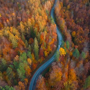 Wydruk 30×45 cm, papier półmat 200 g/m² - Kręta Droga