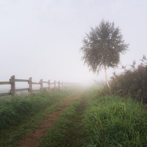 Wydruk 30×45 cm, papier półmat 200 g/m² - Mgliste Objęcie