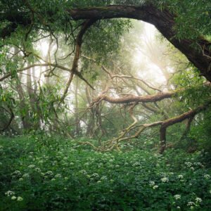 Wydruk 30×45 cm, papier półmat 200 g/m² - W Bajkowej Krainie