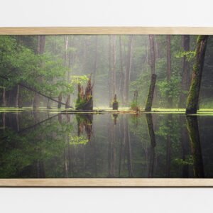 Obraz 40×60 cm, półmat, ramka sosna - Leśna Bajka