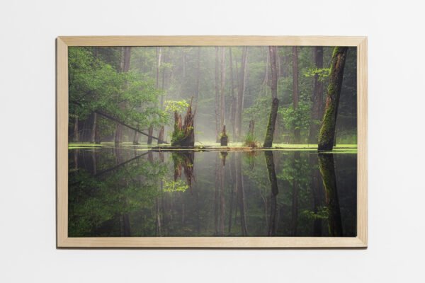 Obraz 40×60 cm, półmat, ramka sosna - Leśna Bajka
