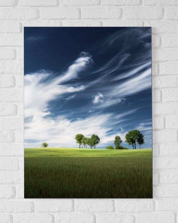 Foto-obraz na płótnie 30x45 cm - obrazek 4
