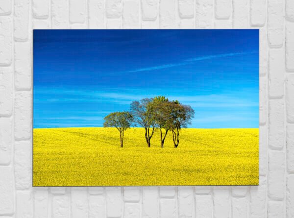 Foto-obraz na płótnie 30x45 cm - obrazek 6