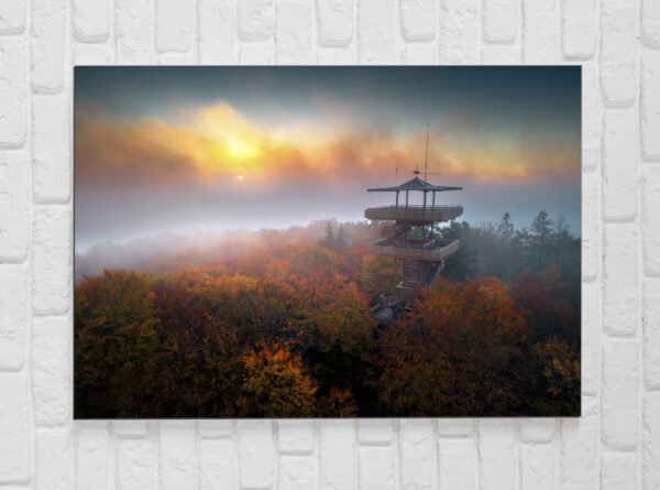 Foto-obraz na płótnie 30x45 cm - obrazek 7