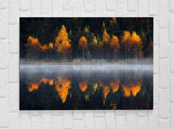 Foto-obraz na płótnie 30x45 cm - obrazek 8