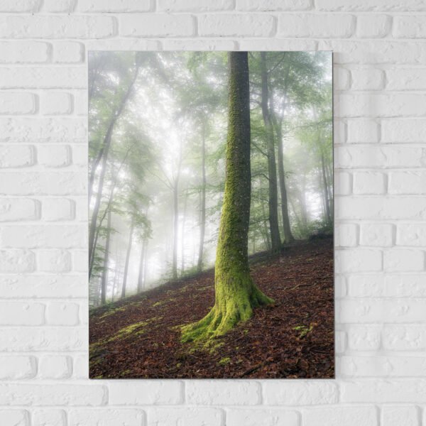 Foto-obraz na płótnie 100×150 cm - obrazek 5