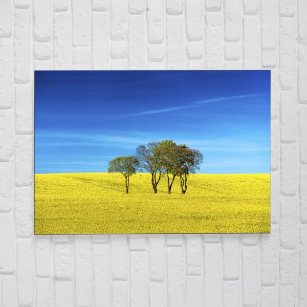 Foto-obraz na płótnie 100×150 cm - obrazek 7