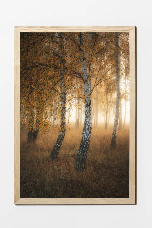 Obraz 40×60 cm, półmat, ramka sosna - Taniec Natury