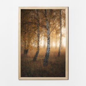 Obraz 40×60 cm, półmat, ramka sosna - Taniec Natury