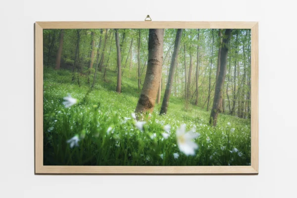 Obraz 21×29,7 cm (A4), papier półmat 200 g/m², ramka sosnowa - obrazek 4