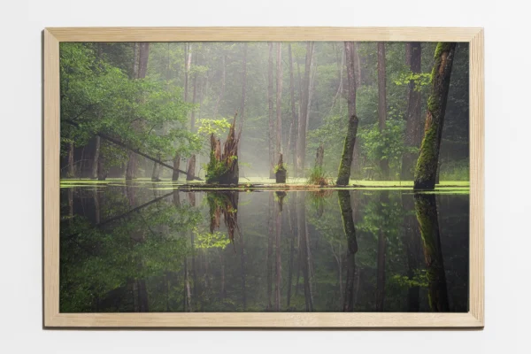 Obraz 40×60 cm, półmat, ramka sosna - Leśna Bajka