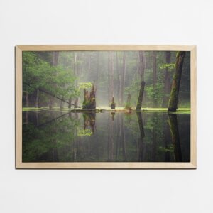 Obraz 40×60 cm, półmat, ramka sosna - Leśna Bajka