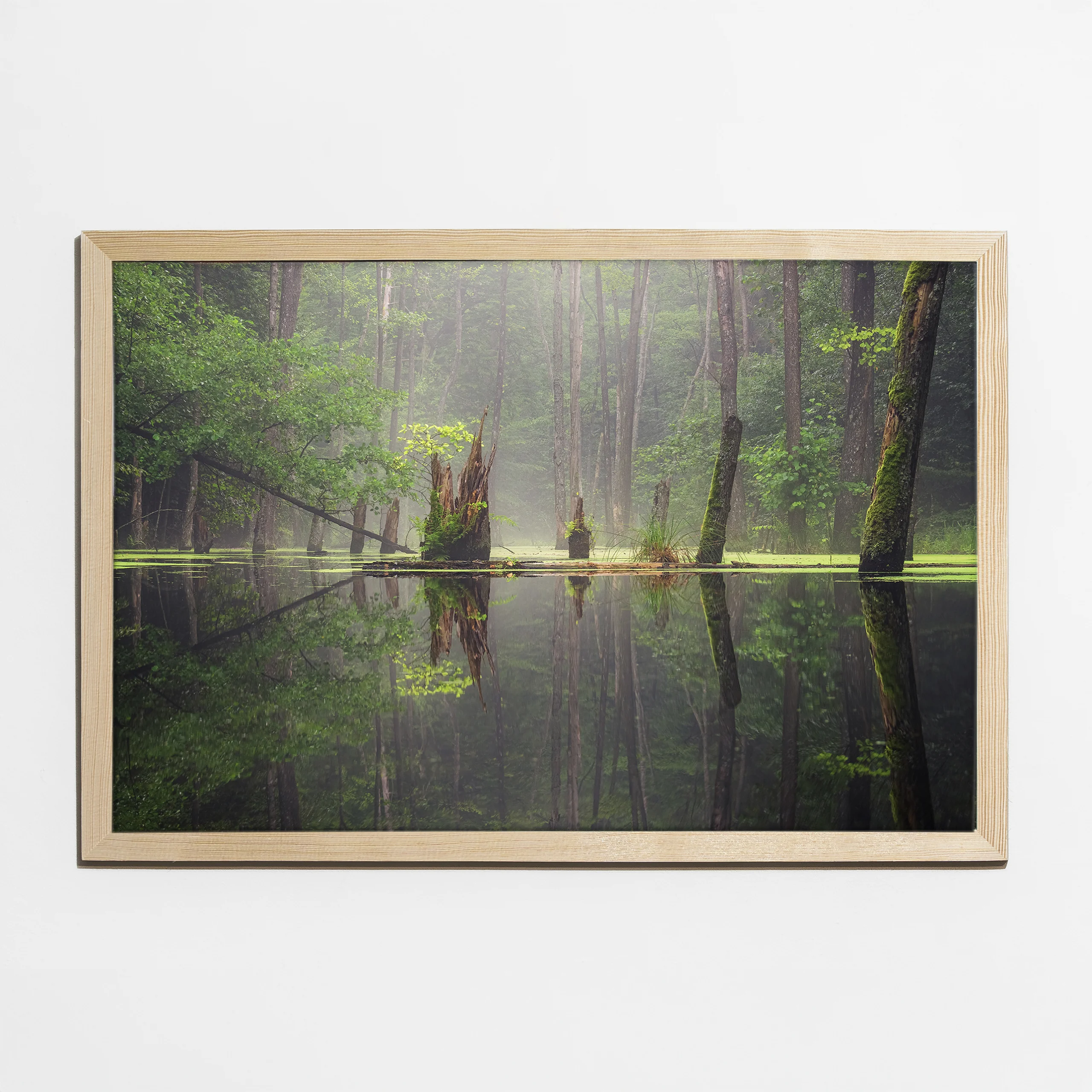 Obraz 40×60 cm, półmat, ramka sosna - Leśna Bajka