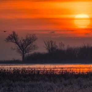 Wydruk 30×45 cm, papier półmat 200 g/m² - Lecąc do Słońca