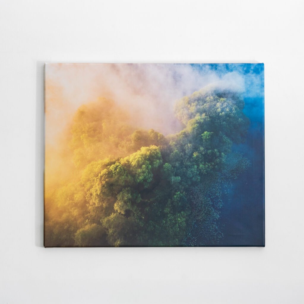 Foto-obraz na płótnie 50×60 cm - Mgliste Serce